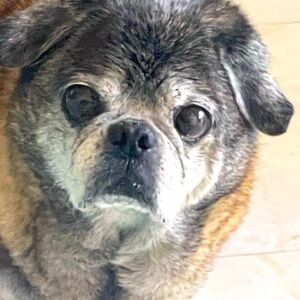 Meet your Posher, James